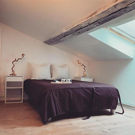 Superbe duplex en plein cœur de Nancy Extérieur photo
